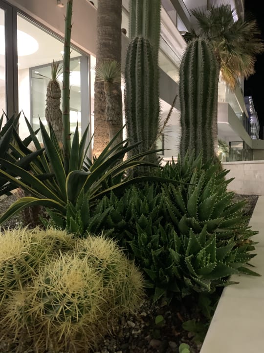 Gartenanlage Rhodos Horizon Resort