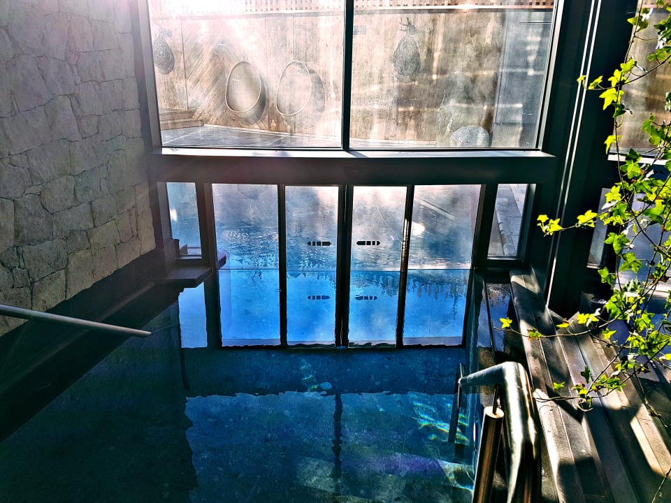 Pool Wellnesshotel Engel