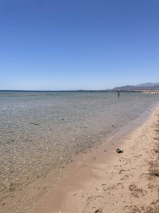 Strand Shams Prestige Abu Soma-Adults Only