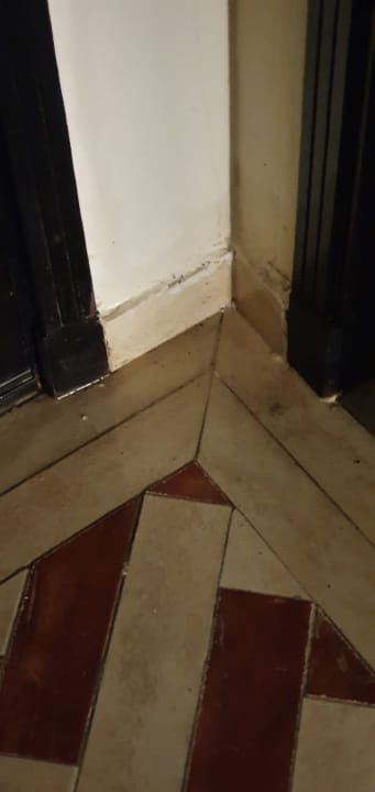 Zimmer AMC Royal Hotel & SPA