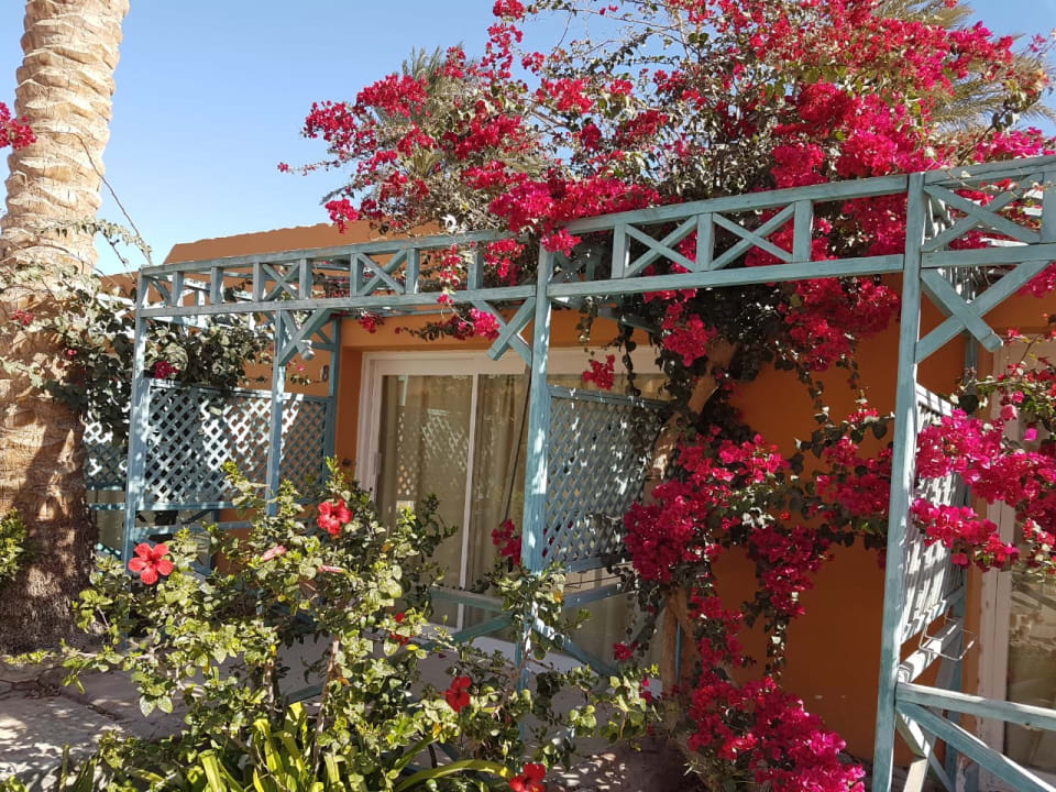 Zimmer Giftun Azur Resort