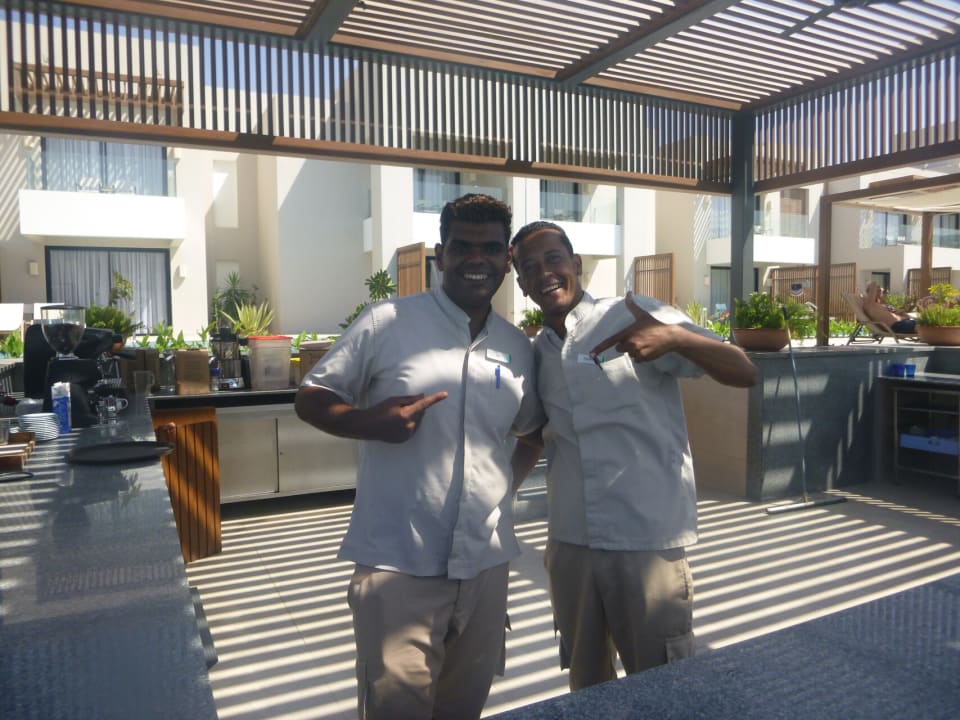 Gastro JAZ Elite Amara