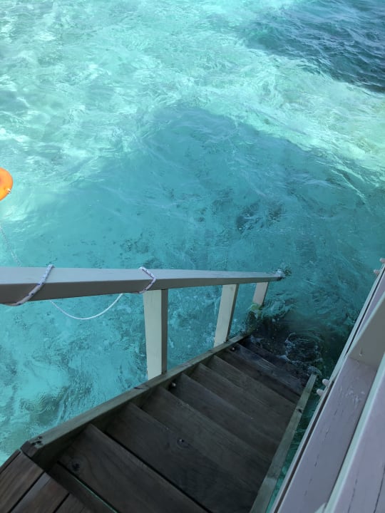 Zimmer Summer Island Maldives