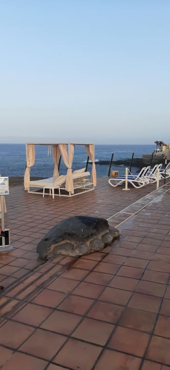 Ausblick Bahia Principe Sunlight Costa Adeje