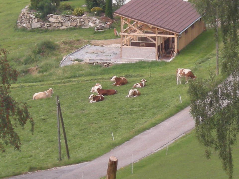 Aussicht Sonnenwald Hotel