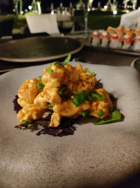 Gastro Anda Barut Collection