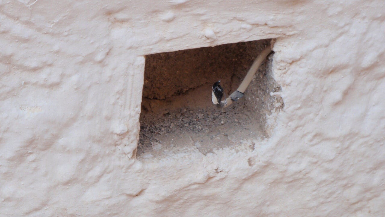 Cztery gwiazdki Ariadne Beach Hotel