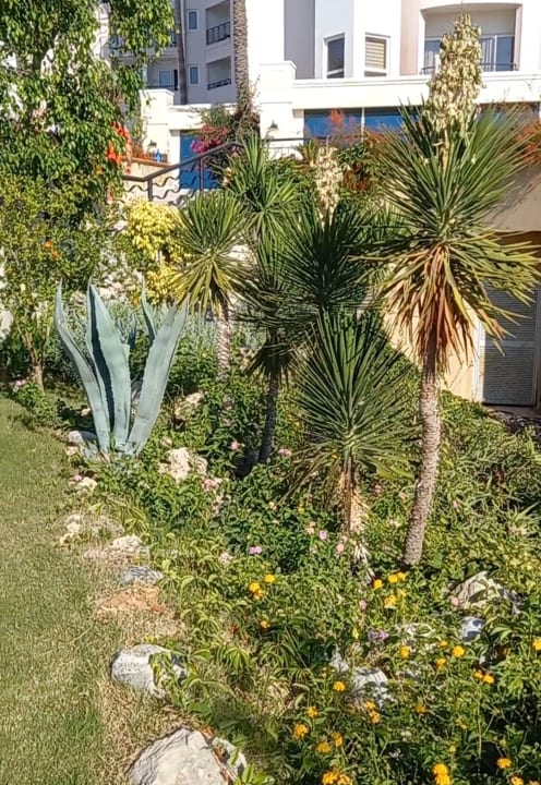 Gartenanlage Kilikya Resort Camyuva