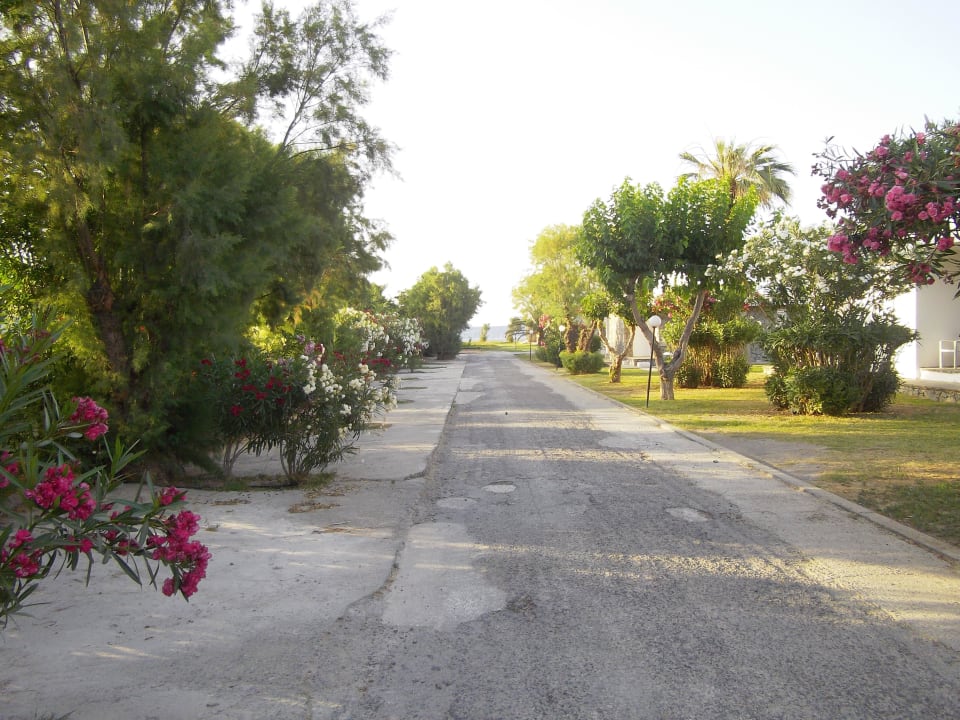 Weg in der Anlage Civitel Creta Beach