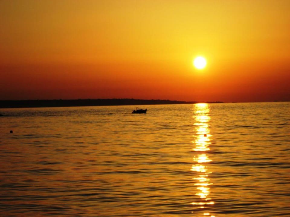 Kreta Phãea Cretan Malia