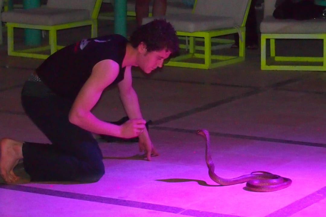 Hotel Titanic Palace Hotel Titanic Palace