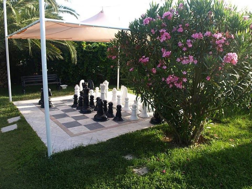 Szachy Alba Resort Hotel