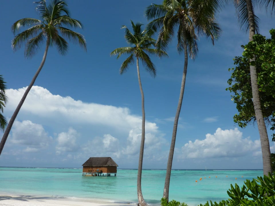 Meeru Ostseite Meeru Maldives Resort Island
