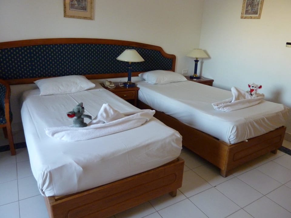 Schiff Ahoi! Desert Rose