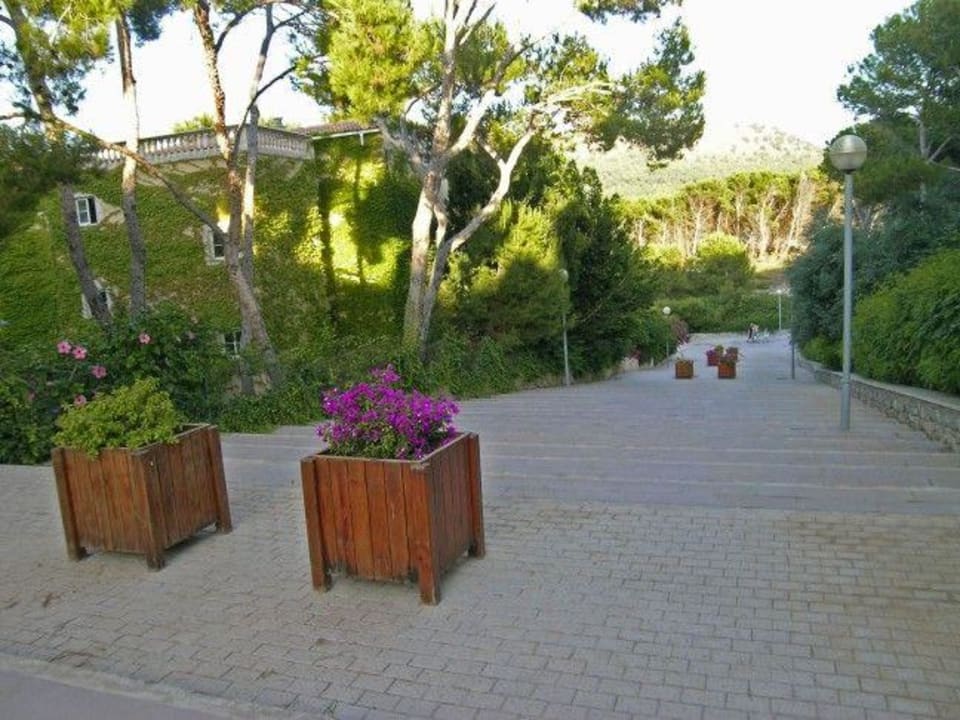 48 Stufen zur Promenade VIVA Cala Mesquida Suites & Spa 16+