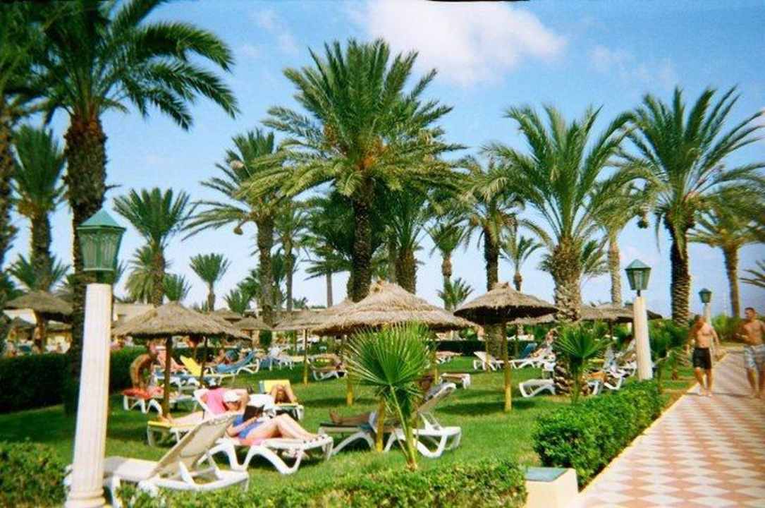 Back garden Houda Golf & Beach Club