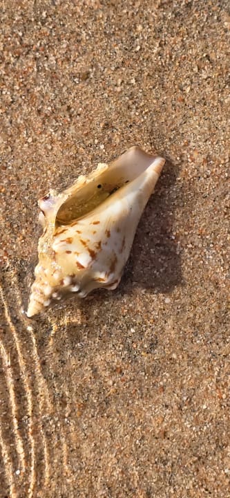 Strand Steigenberger Resort Ras Soma