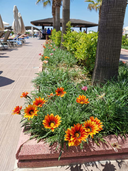 Gartenanlage Korumar Ephesus Beach & Spa Resort