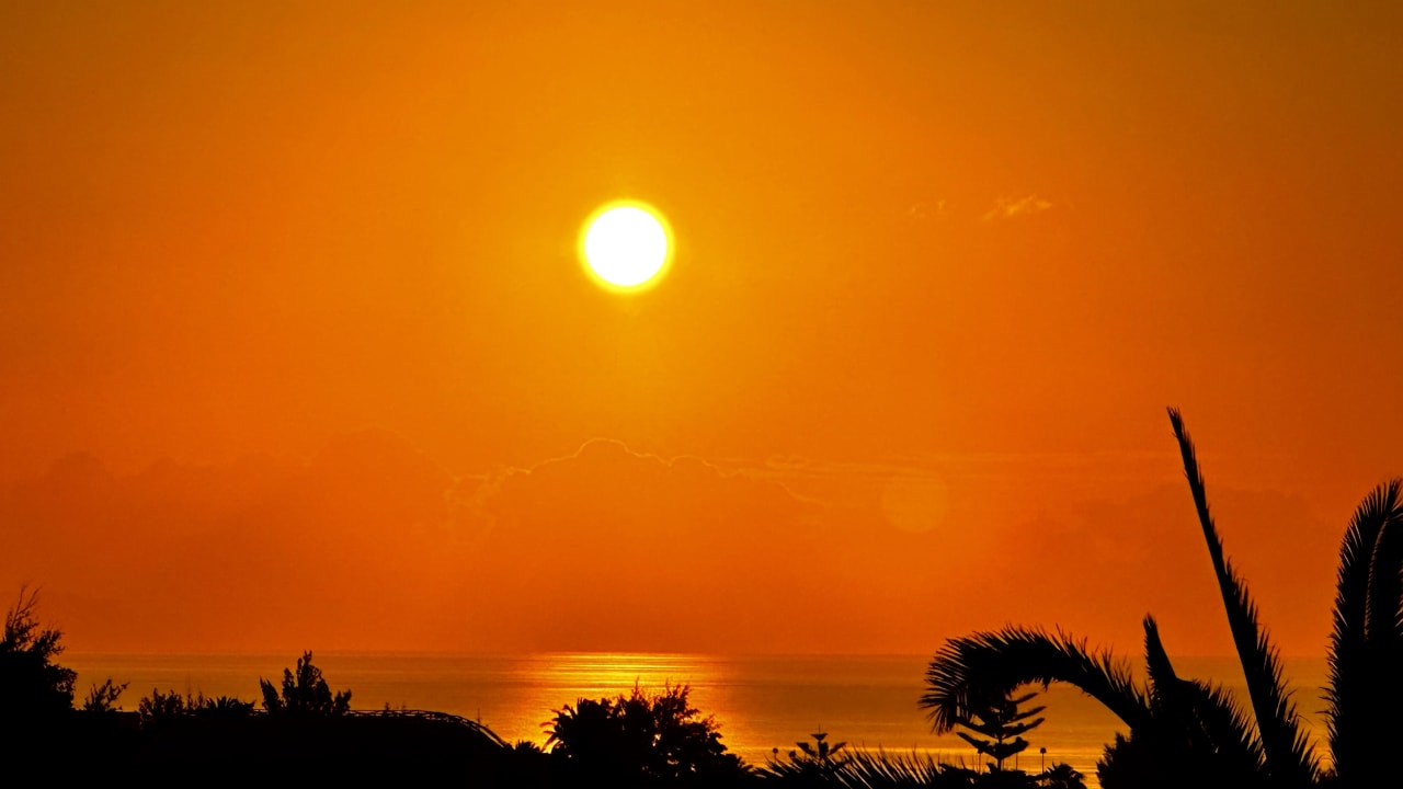 Ausblick allsun App.-Hotel Esquinzo Beach