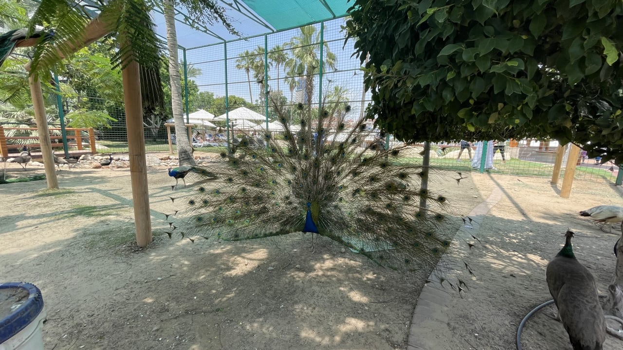 Sport & Freizeit Grand Hyatt Dubai