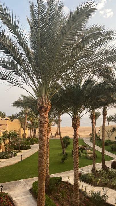 Ausblick Steigenberger Coraya Beach - Adults only