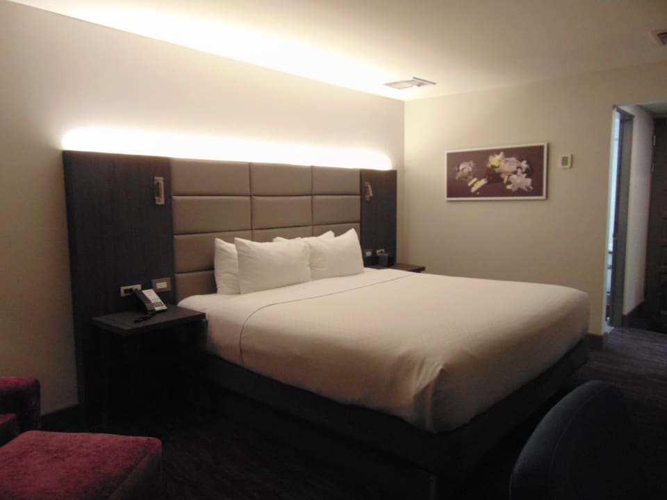 Zimmer Hotel Crowne Plaza San Jose Corobici