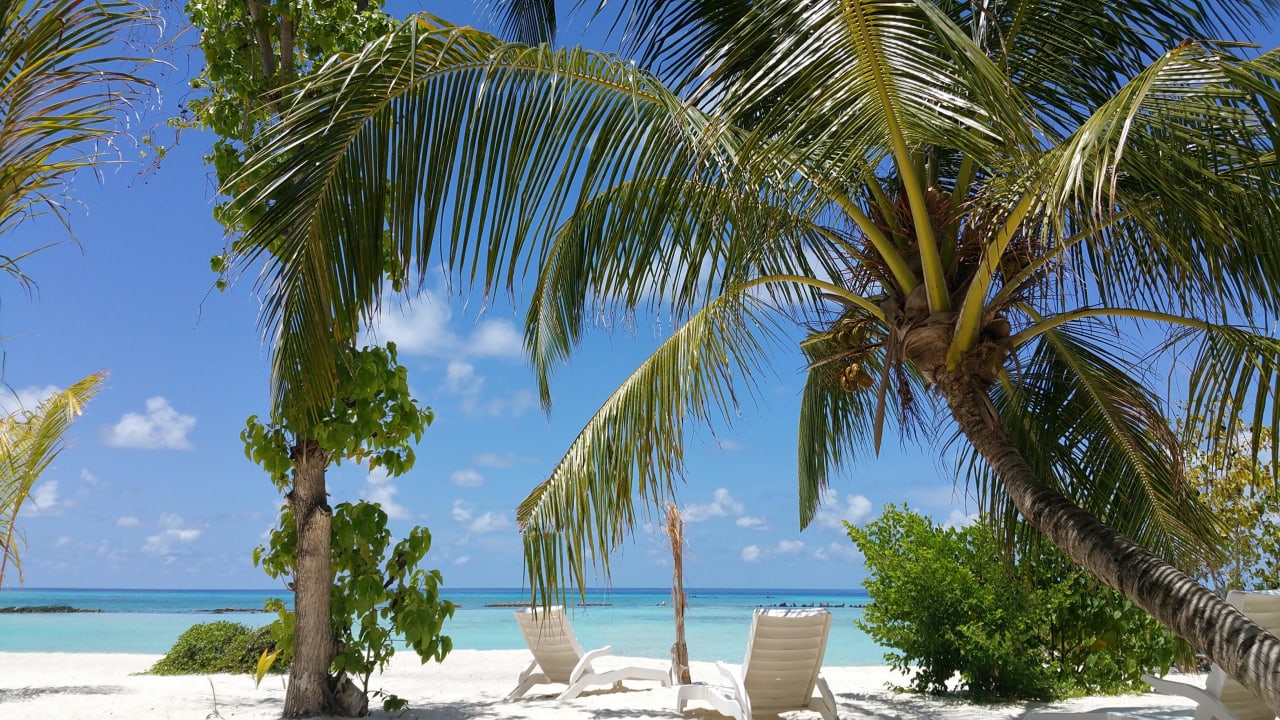 Blich Superior Beachzimmer Summer Island Maldives