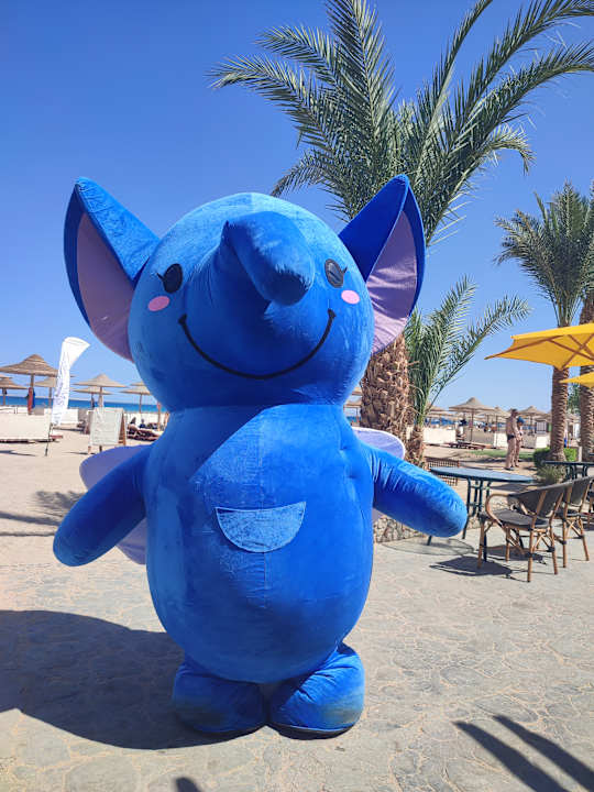 Sonstiges Imperial Shams Abu Soma