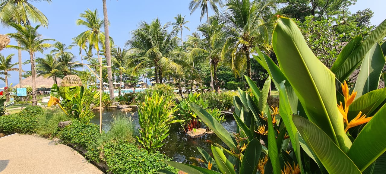 Gartenanlage Eden Beach Resort & Spa, A Lopesan Collection Hotel