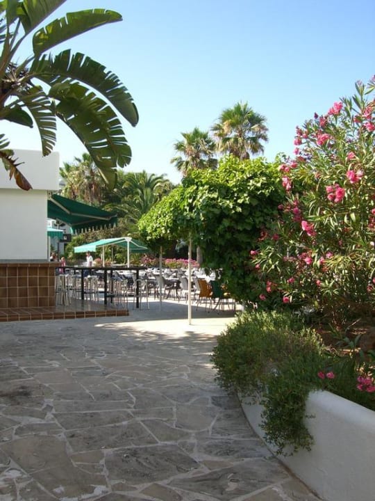 Gartenanlage Blue Sea Club Martha’s Resort