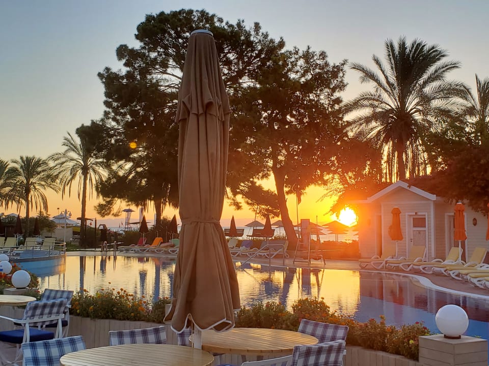 Pool Club Boran Mare Beach