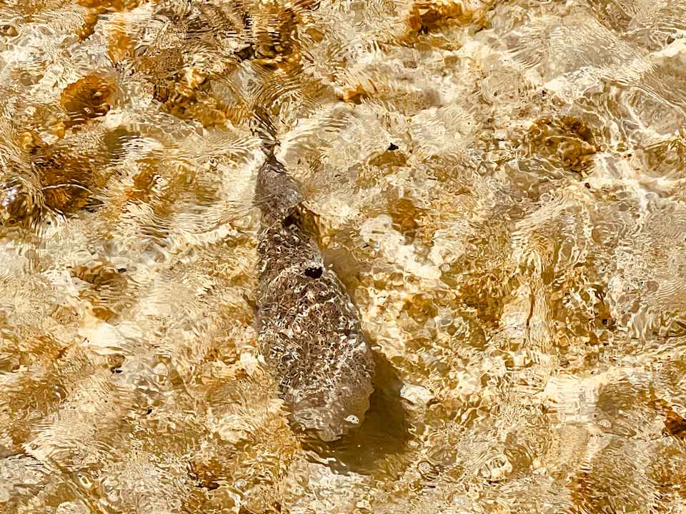 Strand Casa Mare Resort