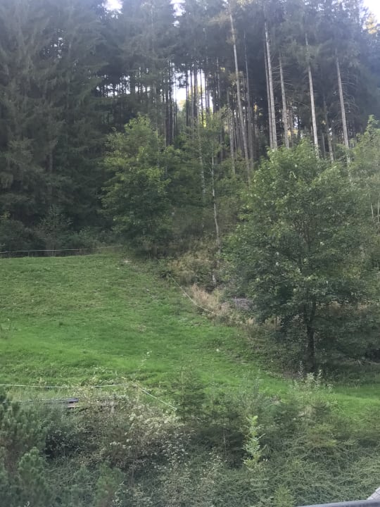 Ausblick Feriendorf Holzleb'n