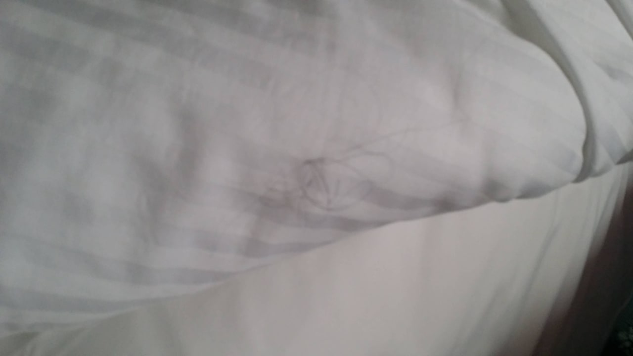 Haare im frisch bezogenen Bett Royal Taj Mahal Hotel