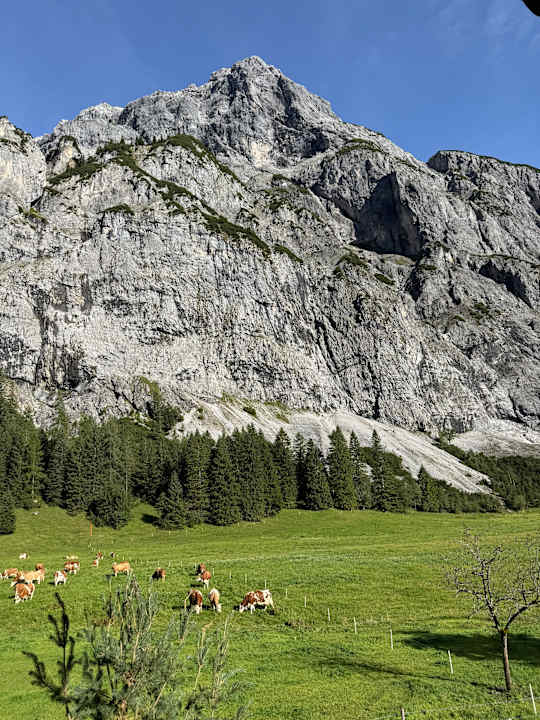 Zimmer Gramai Alm alpengenuss & natur spa