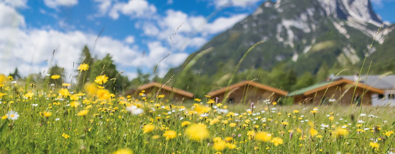 Ausblick EuroParcs Olympiaregion Seefeld