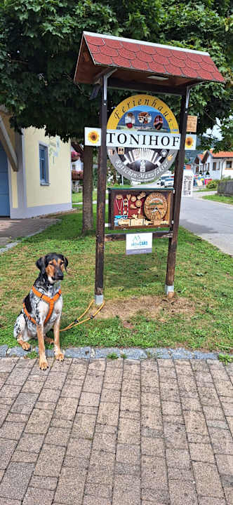 Außenansicht Ferienhaus Tonihof