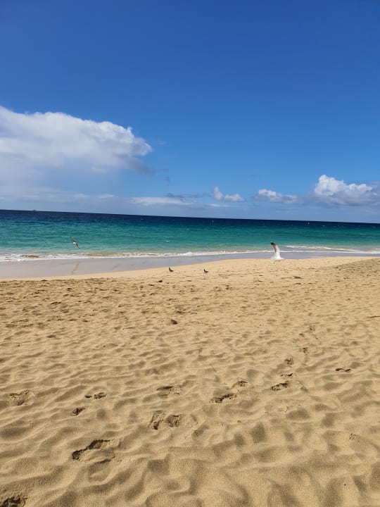 Strand Hotel Riu Palace Jandia