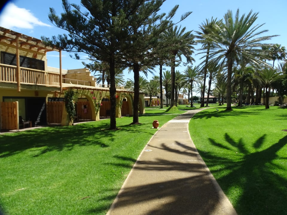 Garten ROBINSON JANDIA PLAYA