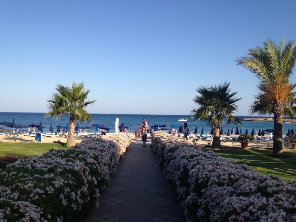 Weg zum Strand Asterias Beach