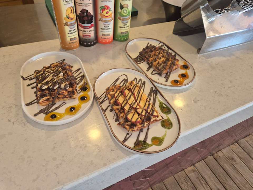 Gastro Seashell Vega