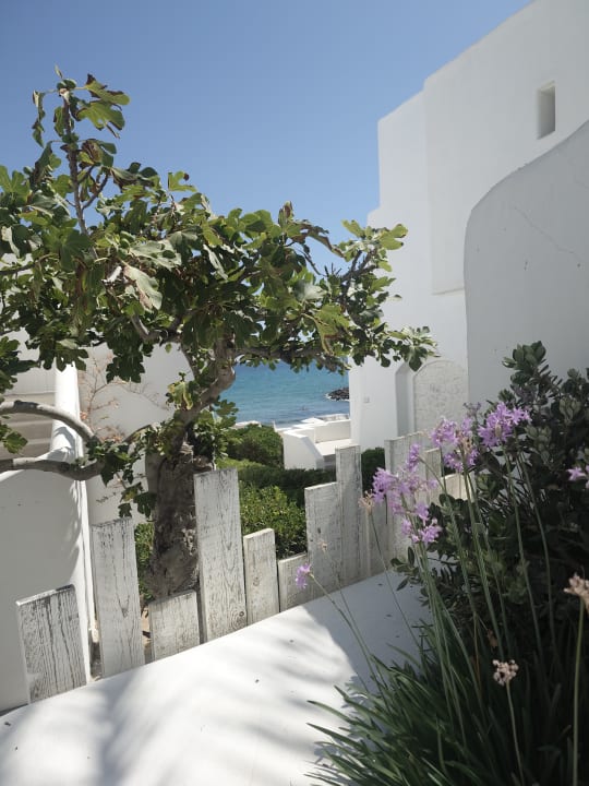 Außenansicht Knossos Beach Bungalows Suites Resort & Spa