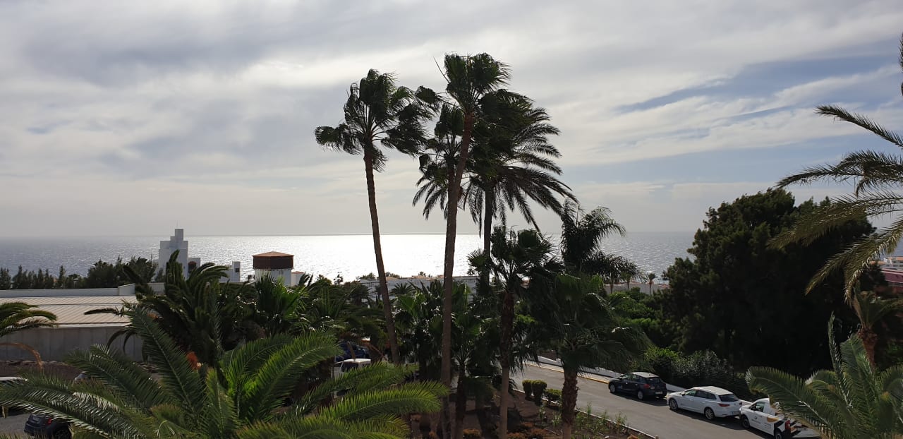 Ausblick allsun App.-Hotel Esquinzo Beach