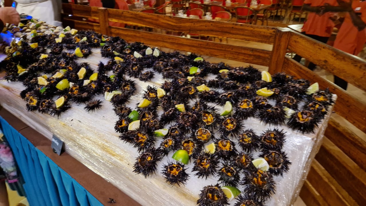 Gastro Royal Horizons Baobab