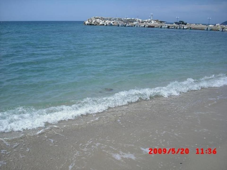 Hotelstrand1 Alexandra Beach Thassos Spa Resort