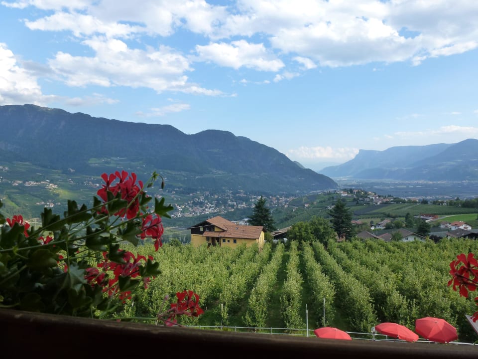 Meran bei Tag Hotel Stefanie