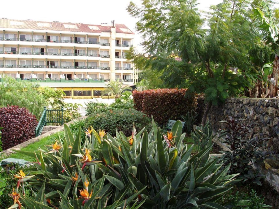 Blick vom Garten jenseits der Schlucht BLUESEA Costa Jardin Spa