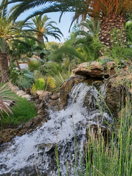 Gartenanlage Caravia Beach Hotel