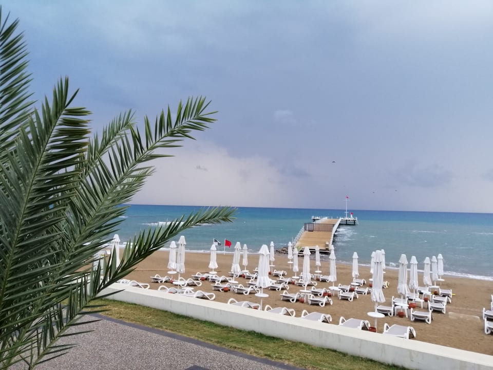 Strand PALOMA Perissia