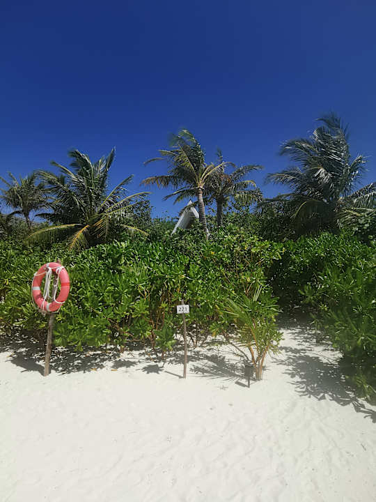 Gartenanlage Oaga Art Resort Maldives - Greatest All Inclusive Plan with Free Speedboat Round-trip